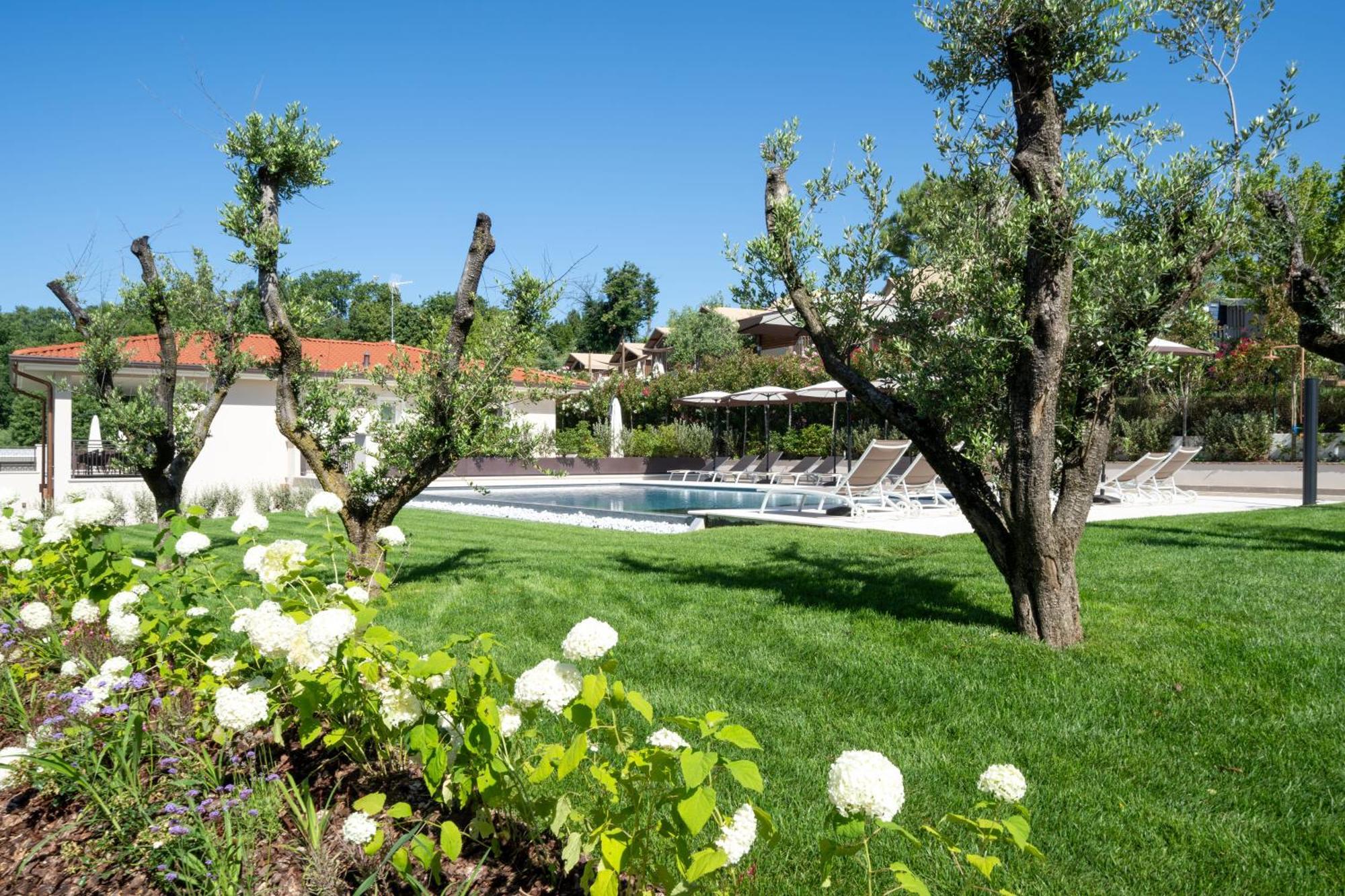 Villa Silvia Apartments San Felice del Benaco Exterior photo